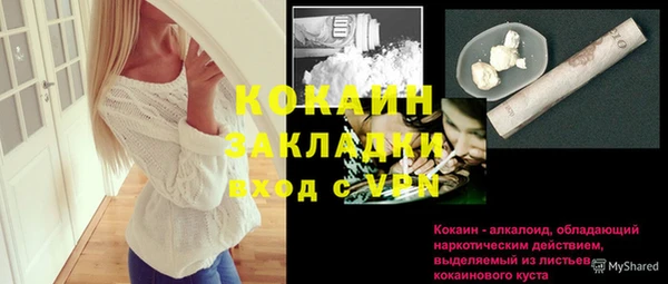 СК Алексин