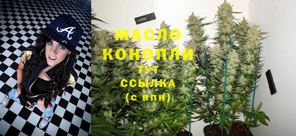 СК Алексин