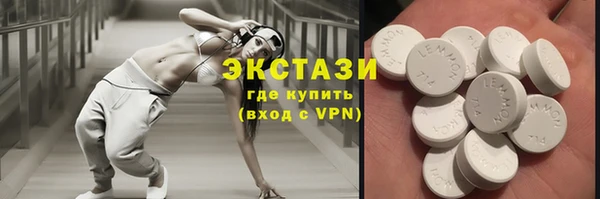 СК Алексин