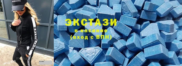 СК Алексин