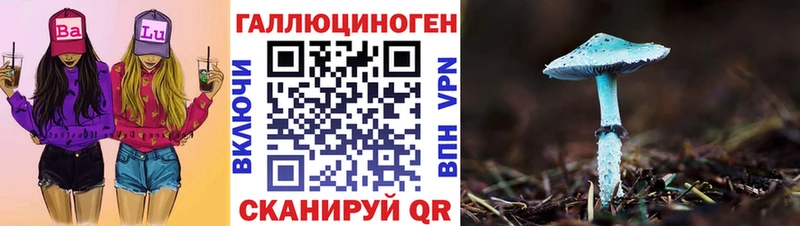 Псилоцибиновые грибы GOLDEN TEACHER  продажа наркотиков  blacksprut ONION  Дубна 