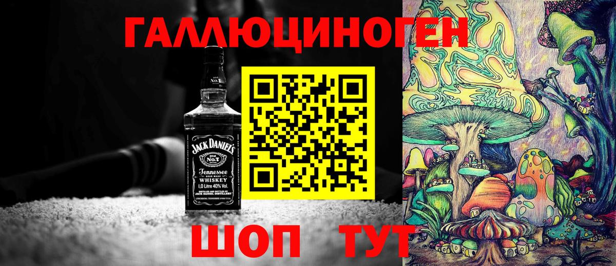 Дубна  Галлюциногенные грибы MAGIC MUSHROOMS  Псилоцибиновые грибы мухоморы  Вход с VPN 